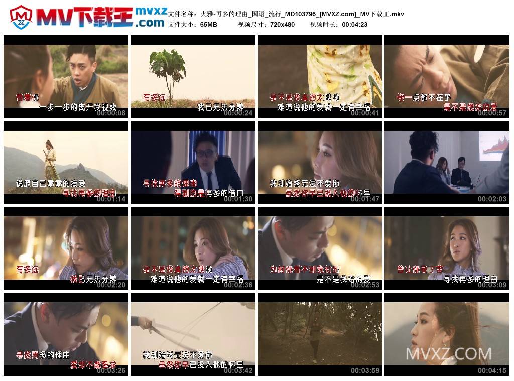 火雅-再多的理由_国语_流行_MD103796